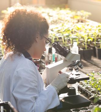 arkopharma-dropteam-projet-forfait-conseil-stratégique