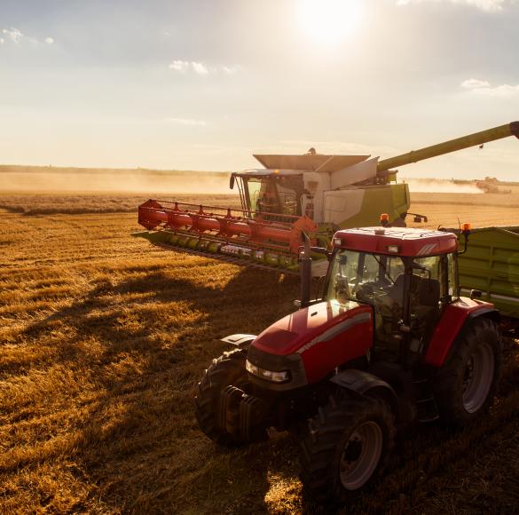 cooperative-agricole-conseil-stratégique-audit