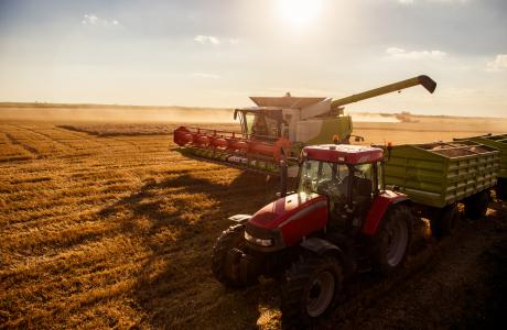 cooperative-agricole-conseil-stratégique-audit